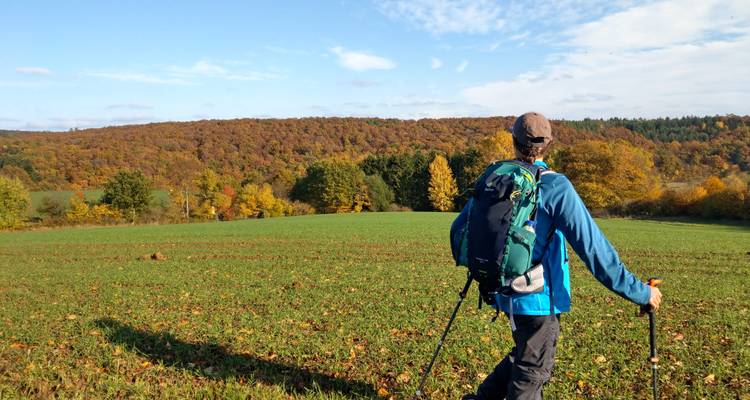 Wanderer mit Wanderstöcken überquert ein offenes Feld in Richtung sanfter Herbsthügel.