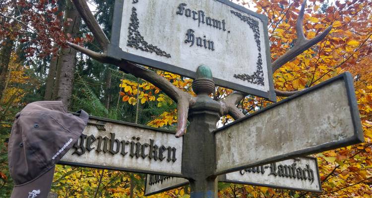 Verwitterter Waldwegweiser mit Herbstlaub und einem Hut, der oben hängt.