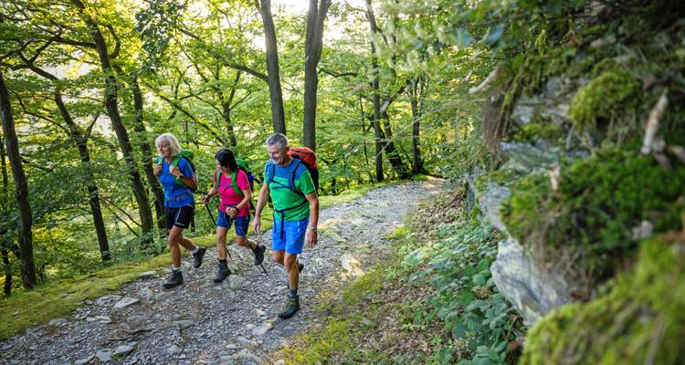 Drei Wanderer wandern einen steinigen Waldweg hinauf und tragen helle Outdoor-Ausrüstung.