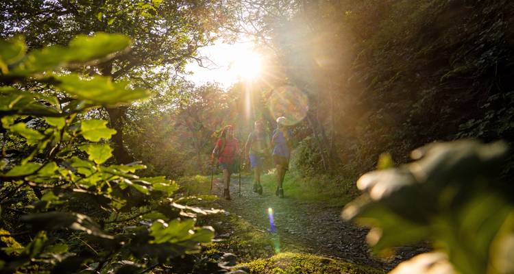 Wanderer gehen einen Waldweg entlang, während helles Sonnenlicht durch die Blätter scheint und Lens-Flare erzeugt.