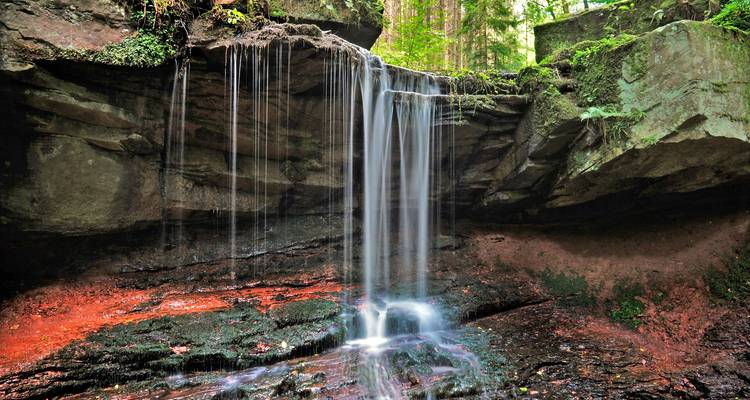 Delicate forest waterfall cascades over dark rock ledges into a shallow pool.