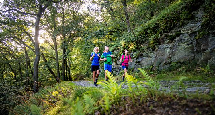 Drei Wanderer schreiten einen grünen Waldweg entlang mit einer felsigen Klippe zu einer Seite.
