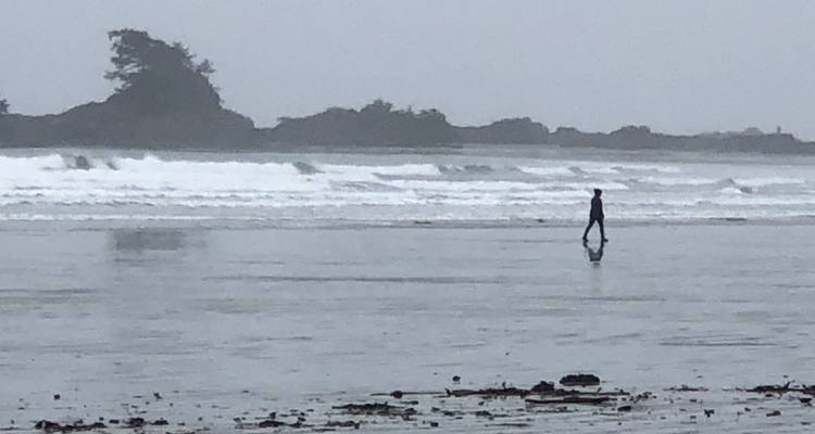 Aventure dans les îles Vancouver Victoria, Ucluelet, Tofino, Nanaimo - 4 jours - Globalduniya 3