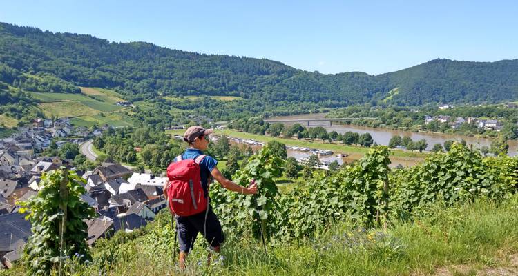 Wandelaar met rode rugzak stapt door hoge wijngaarden met uitzicht op een stad aan de rivier.