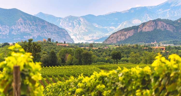 Private Wine Tour,Franciacorta,Lake Garda and Verona - 5 Days Tour - Soleto Travel 3