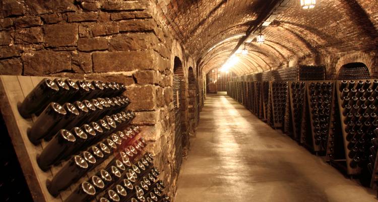 Private Wine Tour,Franciacorta,Lake Garda and Verona - 5 Days Tour - Soleto Travel 4