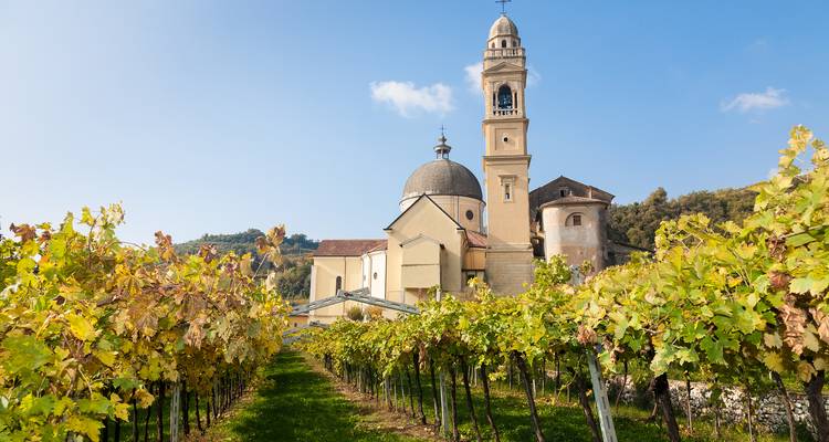 Private Wine Tour,Franciacorta,Lake Garda and Verona - 5 Days Tour - Soleto Travel 7