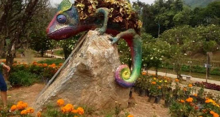 Kleurrijke kameleonbeeldhouwwerk in een tuinomgeving.