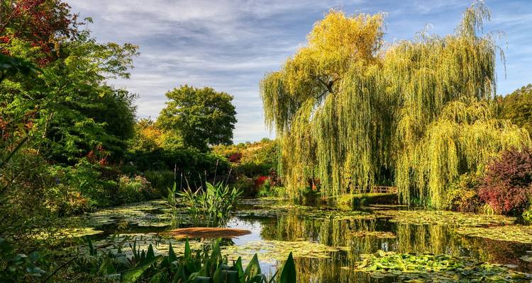 Magnifique jardin aquatique avec des bassins de nénuphars sereins et une végétation luxuriante.