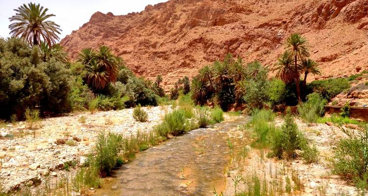 4 días en el desierto de Marruecos desde Marrakech - Tilila Travel 10
