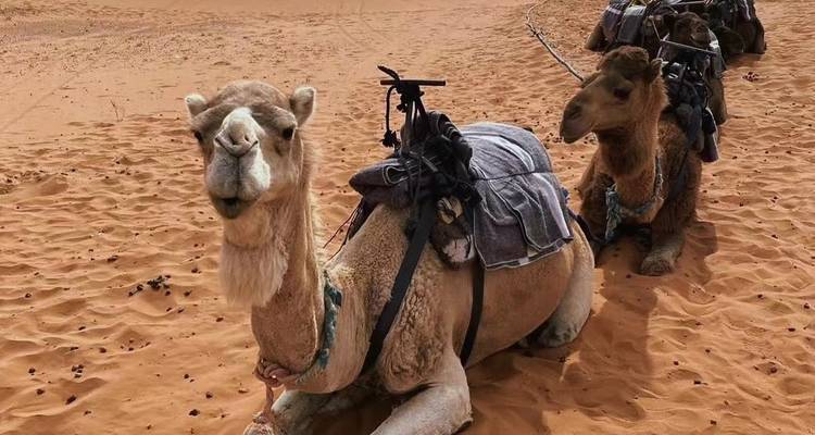 4 días en el desierto de Marruecos desde Marrakech - Tilila Travel 3