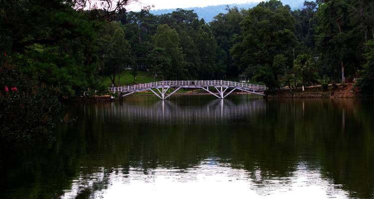 La mística puerta de Meghalaya: una breve escapada desde Guwahati - Agora Voyages OPC Pvt Ltd 6