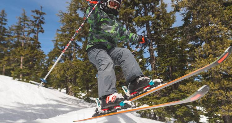 Circuit d'aventure hivernale de 2 jours de Vancouver à Revelstoke - Globalduniya 6