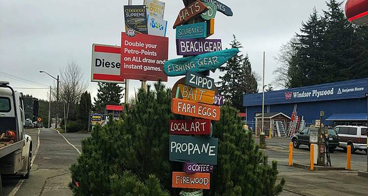 Circuit de 2 jours sur l'île de Vancouver en privé - Globalduniya 2