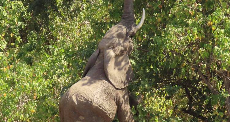 3 Days Hwange National Park Safari Experience - Little Roz Tours 4