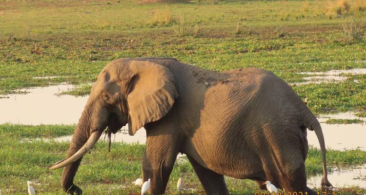 3 Days Hwange National Park Safari Experience - Little Roz Tours 8