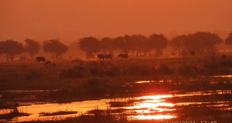 3 Days Hwange National Park Safari Experience - Little Roz Tours 9