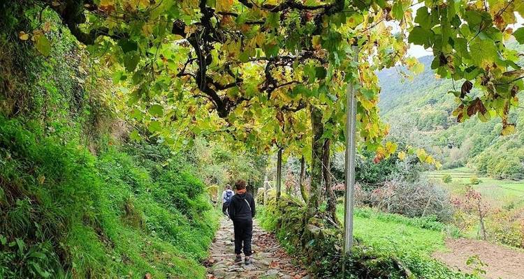 Famille Active Portugal - Explore! 2