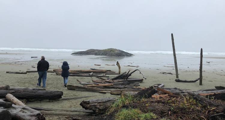 Vancouver to Nanaimo, Ucluelet, Tofino 2 Days Harbor City Tour Private - Globalduniya 2