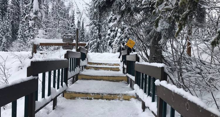 Circuito privado de Exploración de 4 días por las Montañas Rocosas canadienses - Globalduniya 3