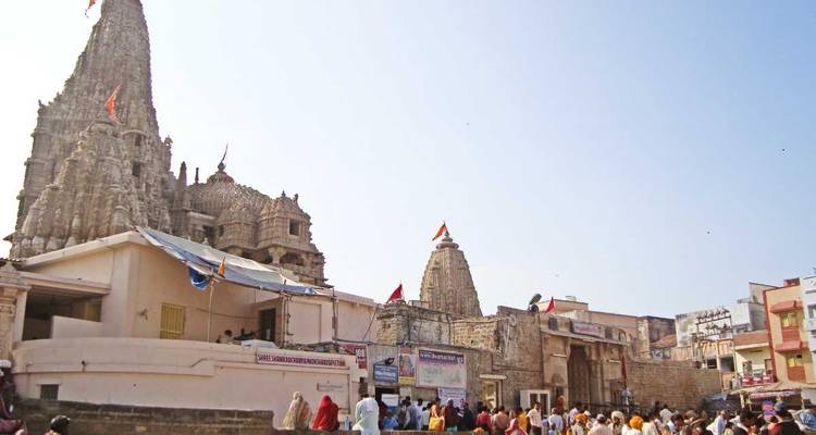 Rediscover Gujarat - Ahmedabad, Gir, Somnath & Dwarka !! (A Budget Friendly Tour) - MTA Destination Management Company 3