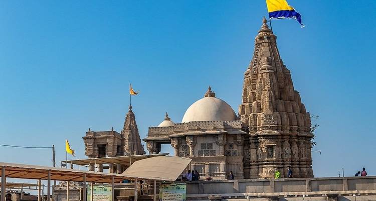 Rediscover Gujarat - Ahmedabad, Gir, Somnath & Dwarka !! (A Budget Friendly Tour) - MTA Destination Management Company 8