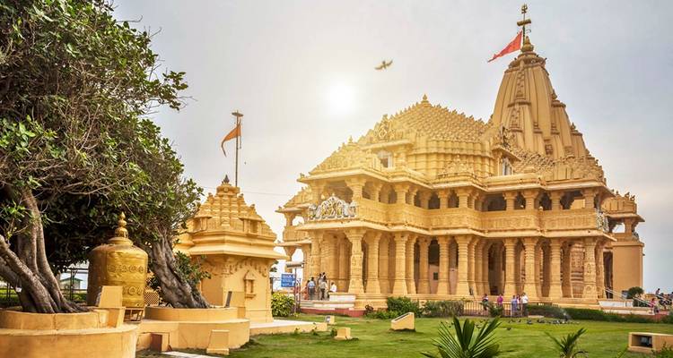 Redescubre Gujarat - ¡Ahmedabad, Gir, Somnath y Dwarka! - Un viaje económico - MTA Destination Management Company 10