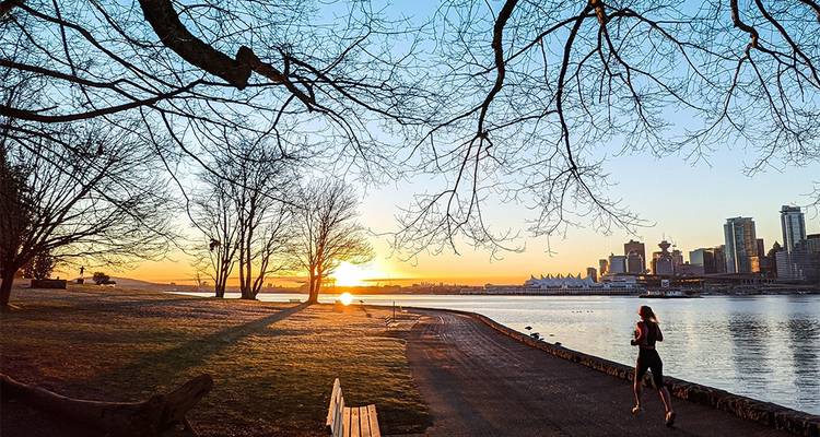 Honeymoon in Vancouver -Couple City Day Tour (Private) - Globalduniya 3