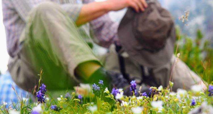 A person sitting in a field of wildflowers, holding a hat.