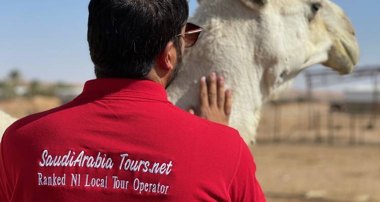 Excursión de 8 días a Riad, los confines del mundo y Jeddah - Saudi Group 3