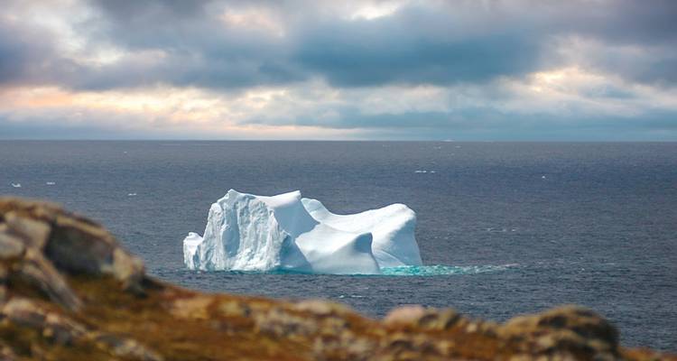 Newfoundland Adventure: Westbound - Intrepid Travel 7