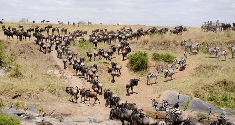 3 Day Masai Mara Luxury Private Safari - Smile view Kenya tours and travel 6