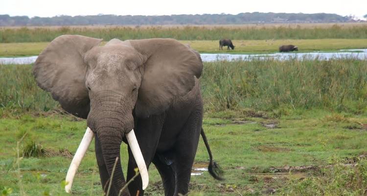 3 Day Masai Mara Luxury Private Safari - Smile view Kenya tours and travel 10