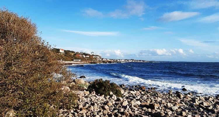 Rocky shoreline with small coastal houses in view.