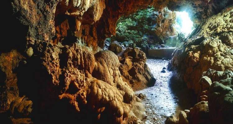 Meghalaya (A Budget Friendly Tour) - MTA Destination Management Company 3