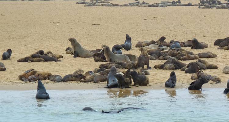7 jours d'exploration de la Namibie - Lodge guidé - Motema Tours and Safaris 4