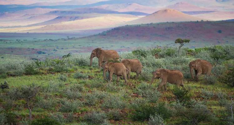 7 jours d'exploration de la Namibie - Lodge guidé - Motema Tours and Safaris 10