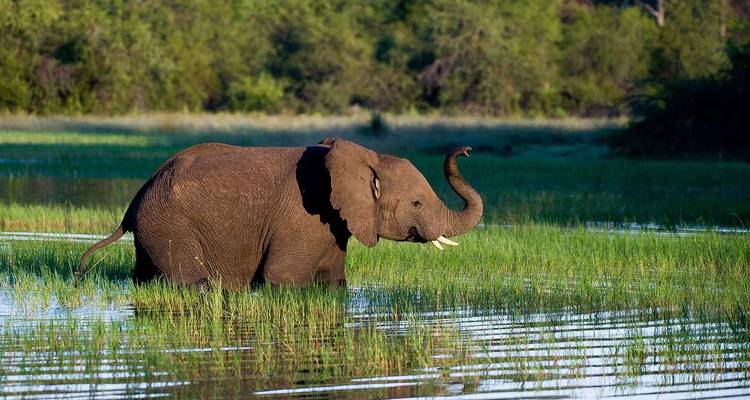 Safari por carretera de gama media de 8 días en Kenia y Tanzania - CKC Tours & Travel 3