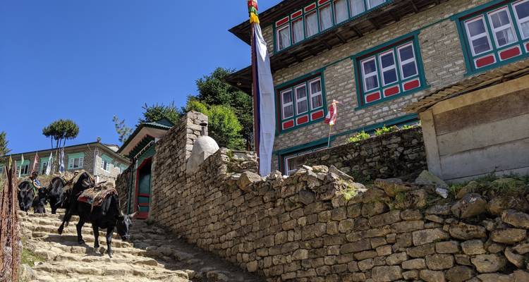 Trek du camp de base de l'Everest : 12 jours - Nepal Climbing Adventure Pvt. Ltd. 7