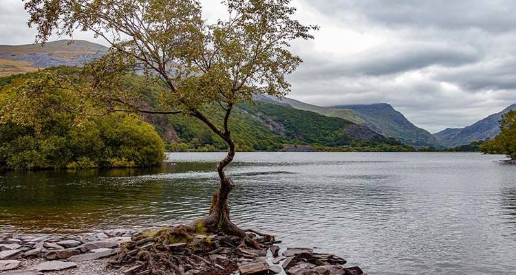 Senderismo en Snowdonia - Just You 6