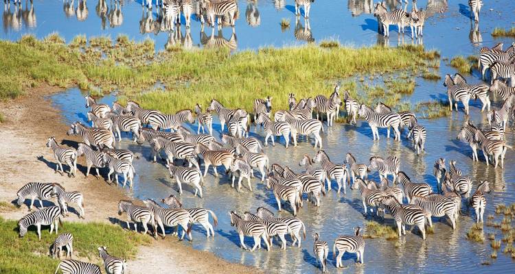 Into the Okavango - 6 days - On The Go Tours 6
