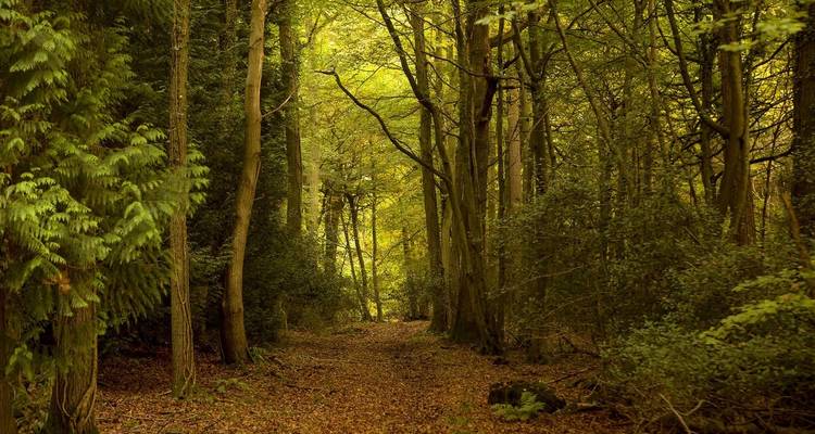 Randonnée dans les Black Mountains et la Wye Valley - Explore! 8