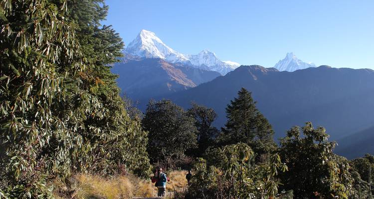 Poon Hill Trek - 3 Días - Pokhara a Pokhara - Nepalgram Adventure 2