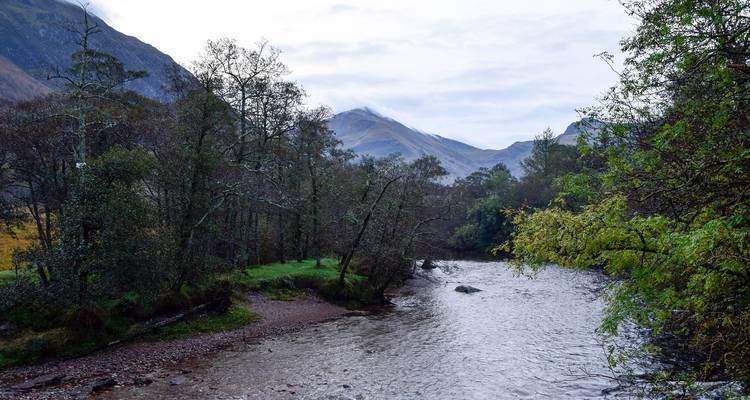 Vista del río con árboles y montañas distantes.