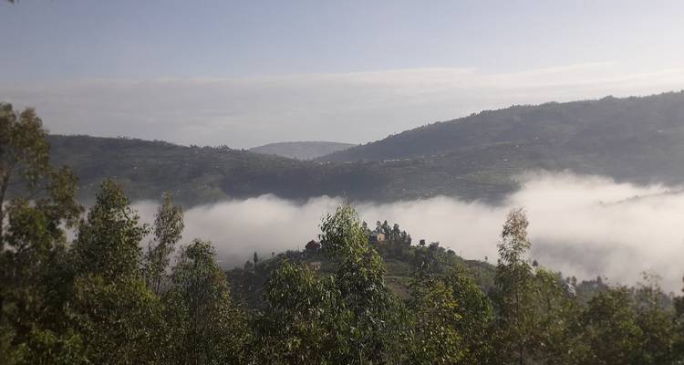 Ruta de senderismo de 7 días por Ruanda (Privada) - New Horizon Africa Safaris 4