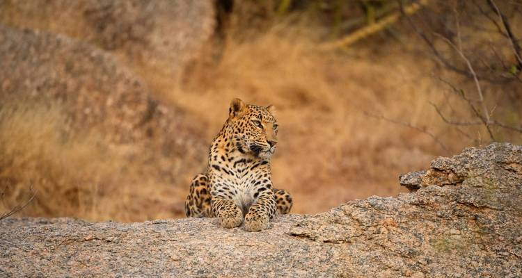 Circuit exclusif de luxe au Rajasthan - INDE - 16 jours - tout compris - Swastik India Journeys 7