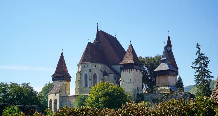 Rumanía rural. Turismo sostenible. Circuito guiado privado - Visit Transilvania Travel 9