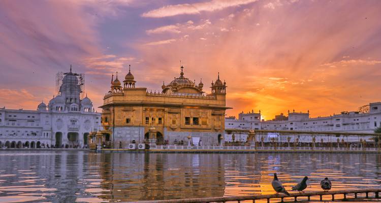 Golden tringle tour with  Amritsar - Real viaggi india  4
