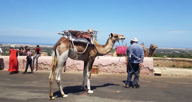 Best Of Morocco 11-Day Tour From Marrakech - Tilila Travel 6