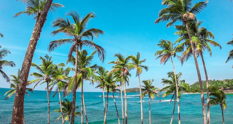 Le meilleur du Sri Lanka avec les Maldives aventureuses et luxueuses - Payless tours india 10